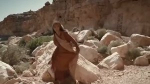 Олег Скобля   Звезда