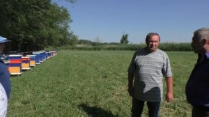 Пчеловоды профессионалы делятся опытом . Пасека семьи Ничик
