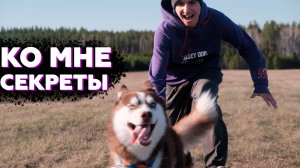Эти советы помогут каждому | Как научить ЩЕНКА КОМАНДЕ КО МНЕ
