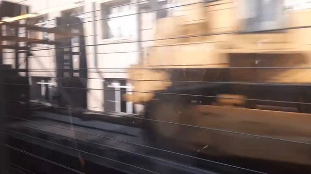 Ласточка летит вдоль моря смотреть онлайн
