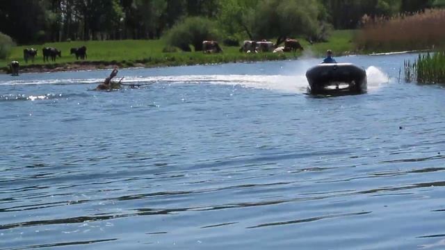 Каяк и природа