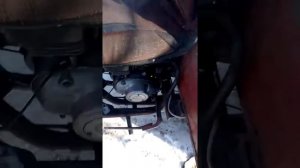 свет на муравья от магнеты