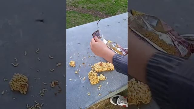 Как приготовить биг ланч в уличных условиях за 1 минуту.#shorts смотреть онлайн