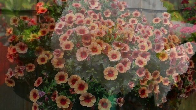 Panasonic TZ100 Testing in 4K смотреть онлайн