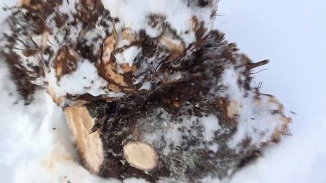 Следующее зимовье смотреть онлайн