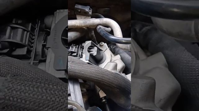 Автомобильный эксперимент: протест-драйвы в действии