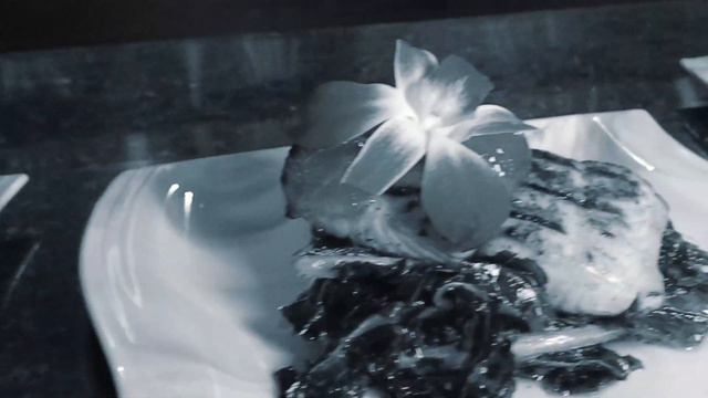 🌹Rose Bar Tampa - Restaurant Just Opened in January 2021 смотреть онлайн