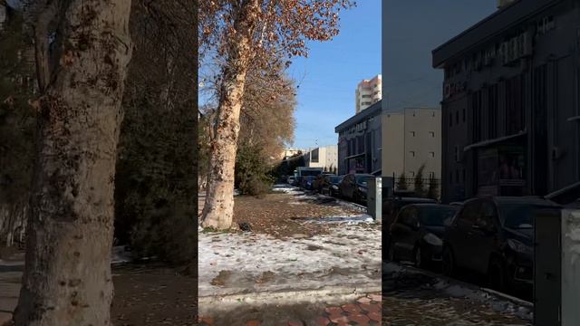 Обмен валюты в Ташкенте,денежные переводы Money Gram,Western Union.