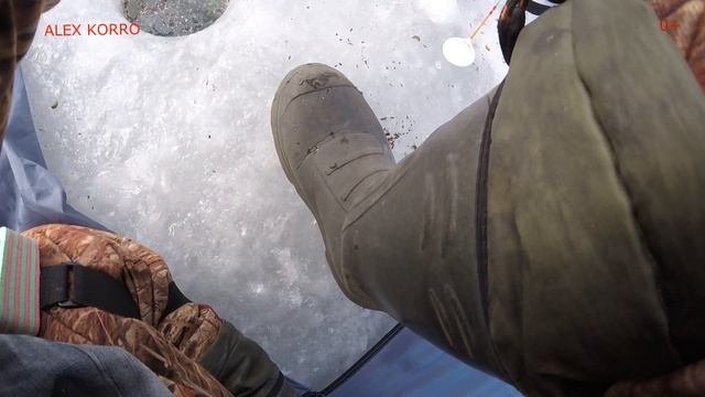 Горячая точка, Федоровка, Крупный Окунь! смотреть онлайн