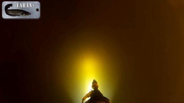 Подводная охота на Днепре 2015 июнь смотреть онлайн