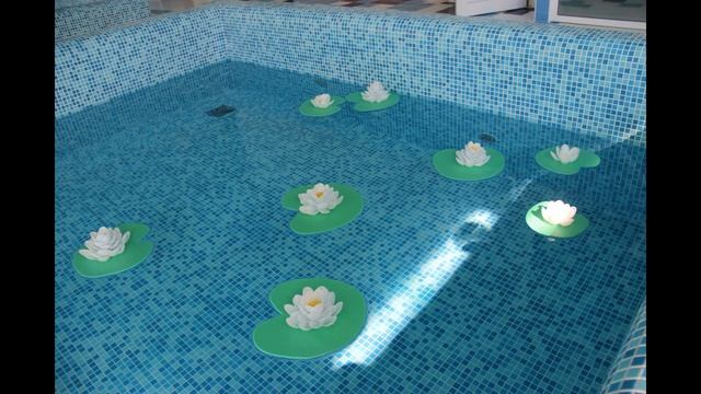 Видео визитка Логуновой А.А. смотреть онлайн