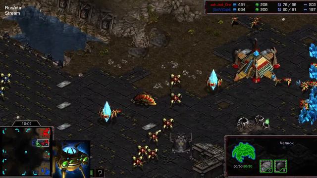 Еженедельный Турнир по Starcraft Remastered - 25.02.2024 смотреть онлайн
