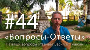 «Вопросы-Ответы», Выпуск #44 - Василий Тушкин отвечает на ваши вопросы