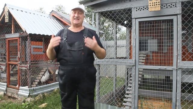 СТРЕСС ОТ ГОЛОДА У КУР НЕСУШЕК СРОЧНОЕ ЛЕЧЕНИЕ. смотреть онлайн