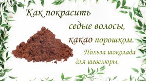 Как покрасить седые волосы, какао порошком.