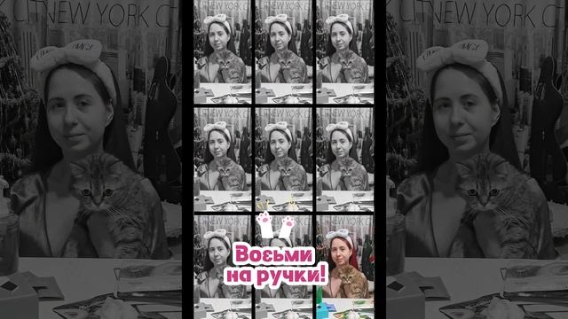 Возьми на ручки! Я тоже, хочу быть в кадре! #shorts #котики #питомцы