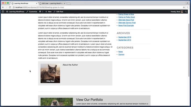 WordPress "About the Author" Tutorial смотреть онлайн