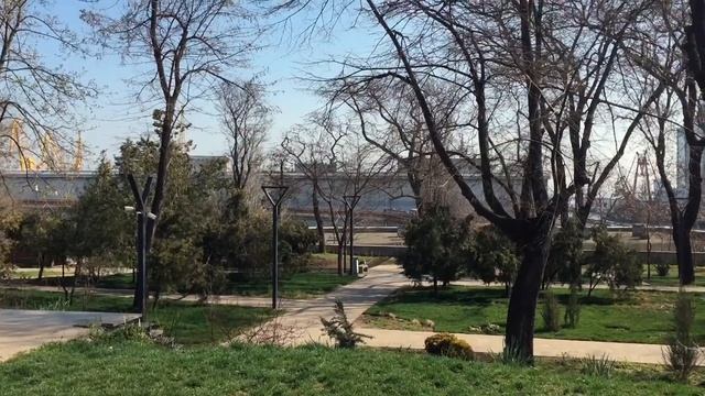 КАК Я КУПИЛ ПРАВА / СКОЛЬКО СТОИТ? СКОЛЬКО СТОЯТ ПРАВА В УКРАИНЕ / КАК СДАТЬ НА ПРАВА / Права смотреть онлайн