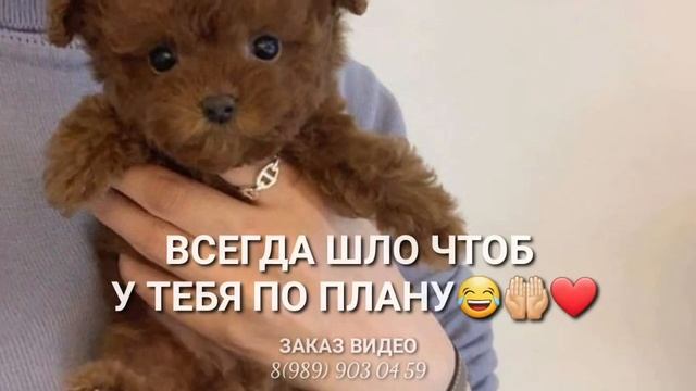 С Днем рождения?❤ крутое поздравление смотреть онлайн