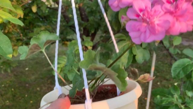 Зонартик Ю-Моя прелесть смотреть онлайн