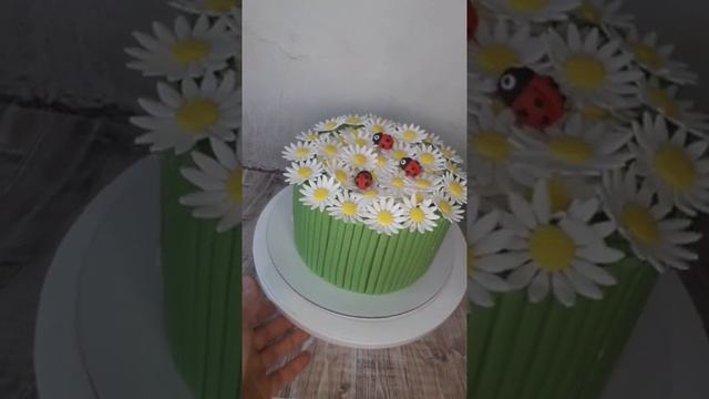 Торт Ромашки