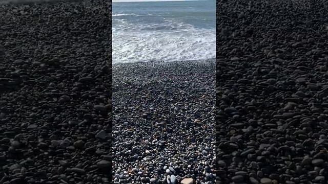 Дорога из ракушек к морю 2 января 2020 в Сочи! #всочиумаши смотреть онлайн