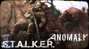 ПОД СВИНЦОВЫМИ ТУЧАМИ - S.T.A.L.K.E.R. Anomaly 1.5.1 EFT EDITION v2.1 ✌ СТРИМ