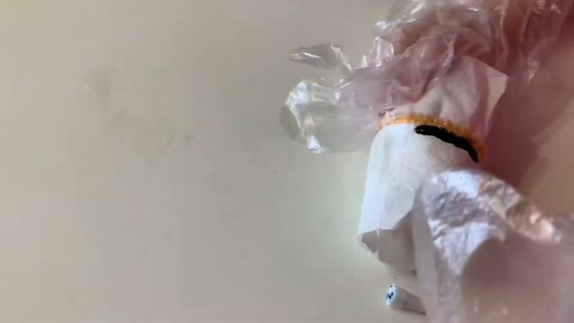 Красит пасхальные яйца Каролина. смотреть онлайн