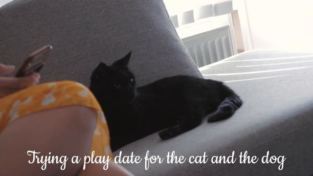 Easter celebration in Bergen, Norway смотреть онлайн