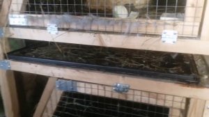 3х ярусные клетки для кроликов.