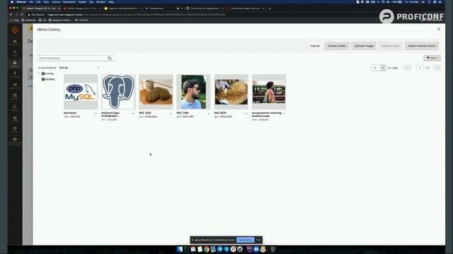 Magento Enhanced Media Gallery: Improved Media Resource Management Approach—Alexander Shkurko смотреть онлайн