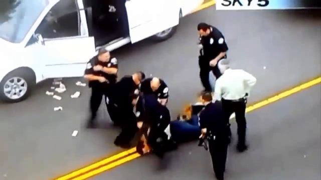 ТОП Служебные Собаки в действии смотреть онлайн