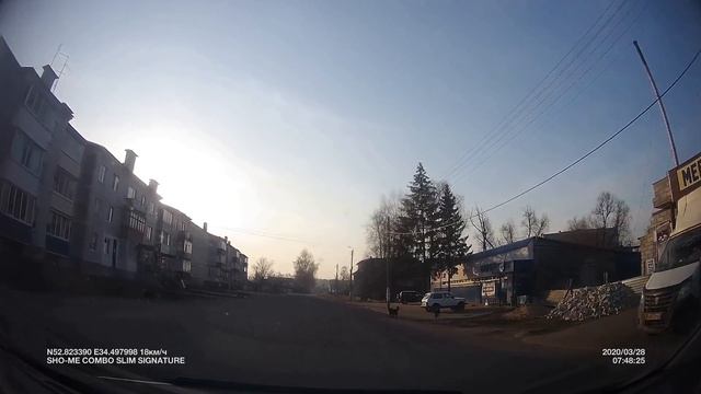 Навля. Варяг. Собака смотреть онлайн