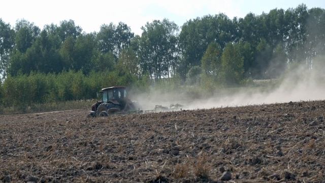 Подготовка почвы под посев пшеницы! МТЗ беларус! смотреть онлайн