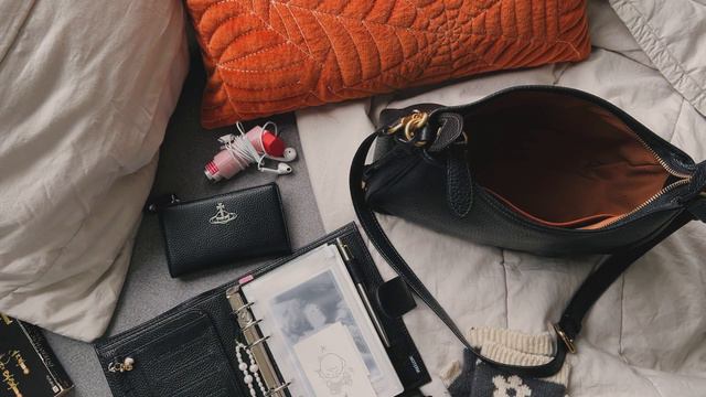 what's in my bag? | coach 'cary' crossbody ✸ смотреть онлайн