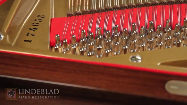 1980 Bechstein Grand #174658 смотреть онлайн