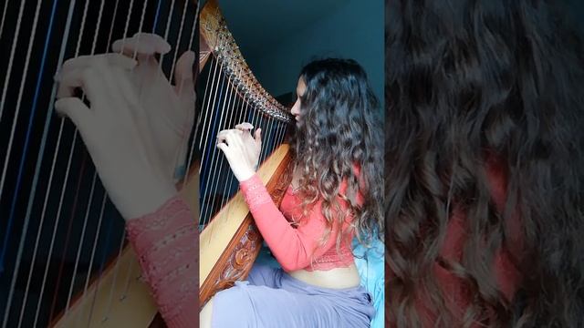 Saltarello Harp смотреть онлайн