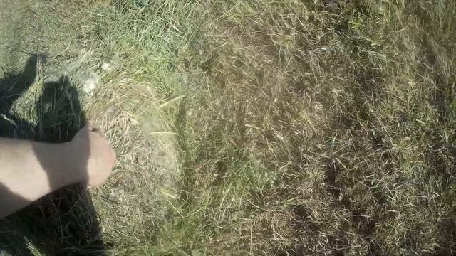 А если замотать сено в плёнку? Смотрим очень сухой сенаж. Или же сырое сено? смотреть онлайн