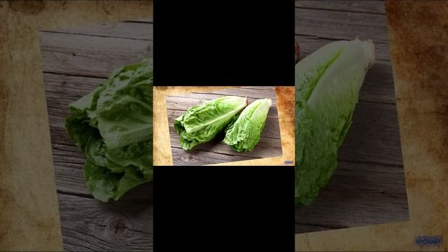 Символ плодородия в Древнем Египте #shorts смотреть онлайн