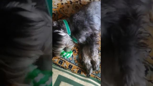 Играем смотреть онлайн