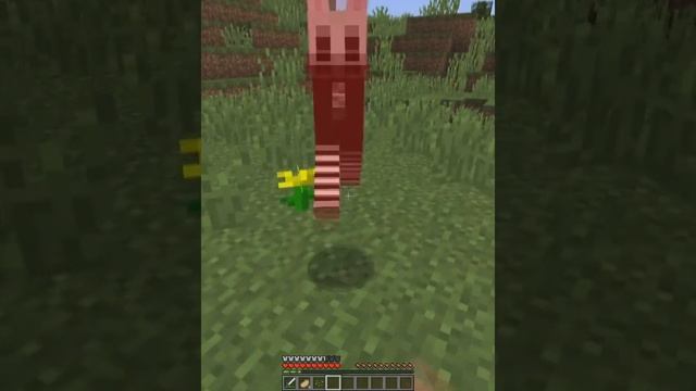 Minecraft: Я ВСТРЕТИЛ МАЛЕНЬКОГО СЦП КРОЛИКА В МАЙНКРАФТЕ!! ЕВГЕН БРО НЕ ПОВЕРИЛ МНЕ! #Shorts смотреть онлайн