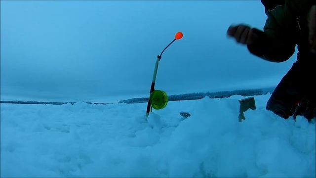 Ловля леща на комбайны.Река Обь. смотреть онлайн