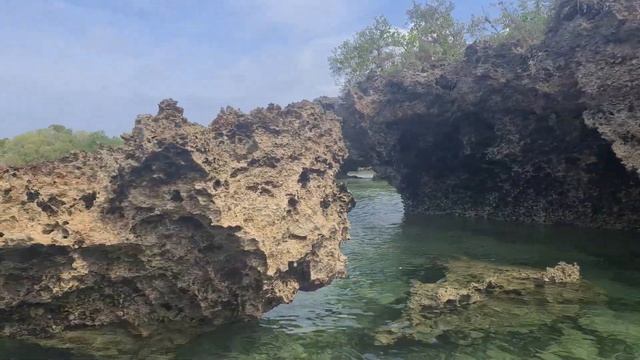 Как мы разделили холодную Зиму Летом, приблизив Весну! Поездка в Африку. Занзибар! смотреть онлайн