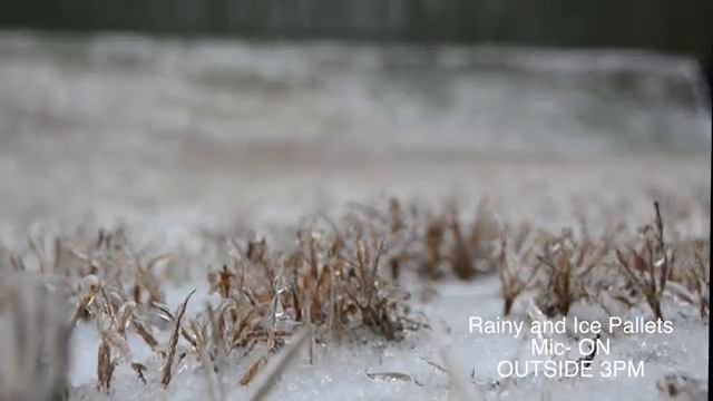 Cinematic | Nikon D5200 Camera Test 1080p/ Konova K3-100 slider смотреть онлайн