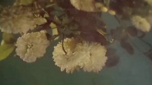 Да здравствует сюрприз!(наброски)