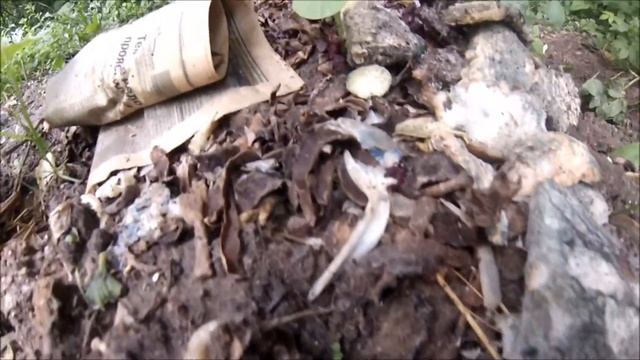 СЛИЗЕНЬ смотреть онлайн