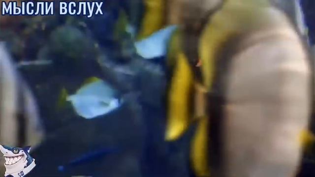 Самвел Ад грязный халат не наш.Хлеба и зрелищ.Начните с себя.Коля и Надя-рыбы прилипалы.