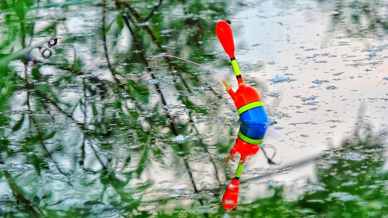 КАРАСИ ПОД ДЕРЕВОМ! НЕ РЫБАЛКА, А ЖОР КАКОЙ ТО! Деревенская рыбалка на "Минском" смотреть онлайн