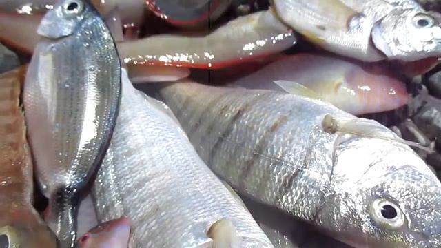 Рыбалка для женщин, это не только отдых, это еще и развлечение, смотреть онлайн