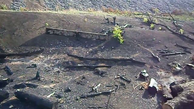 Уничтожают природу смотреть онлайн